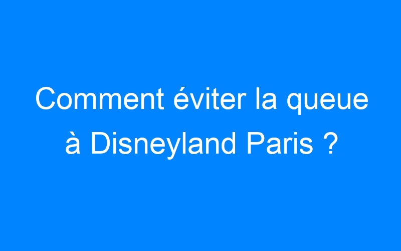 You are currently viewing Comment éviter la queue à Disneyland Paris ?