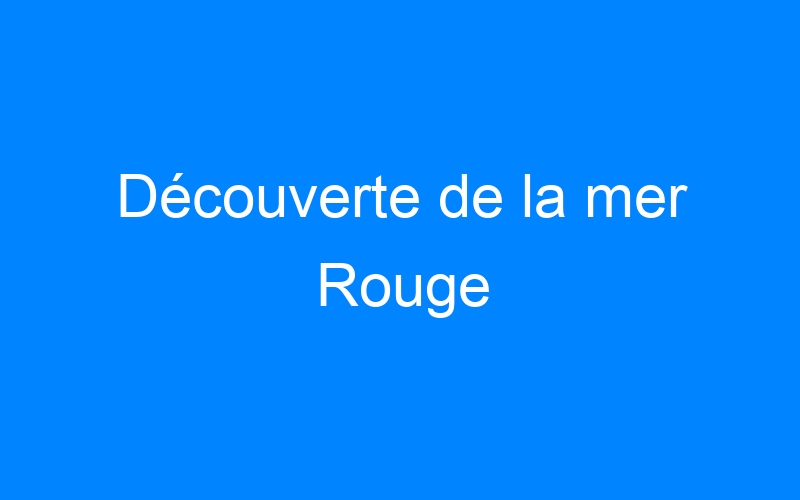 You are currently viewing Découverte de la mer Rouge