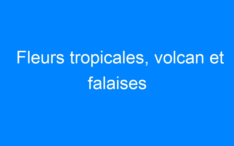 You are currently viewing Fleurs tropicales, volcan et falaises