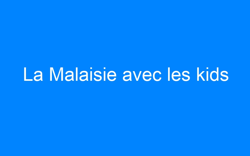 You are currently viewing La Malaisie avec les kids