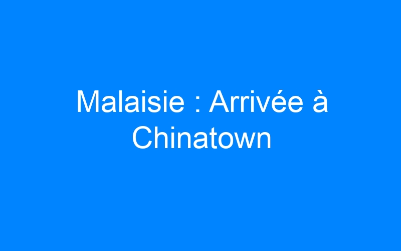 Lire la suite à propos de l’article Malaisie : Arrivée à Chinatown