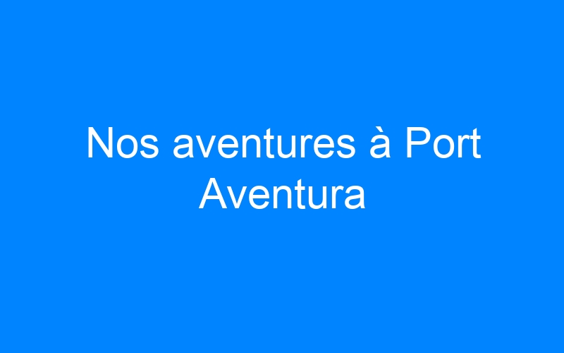 Lire la suite à propos de l’article Nos aventures à Port Aventura