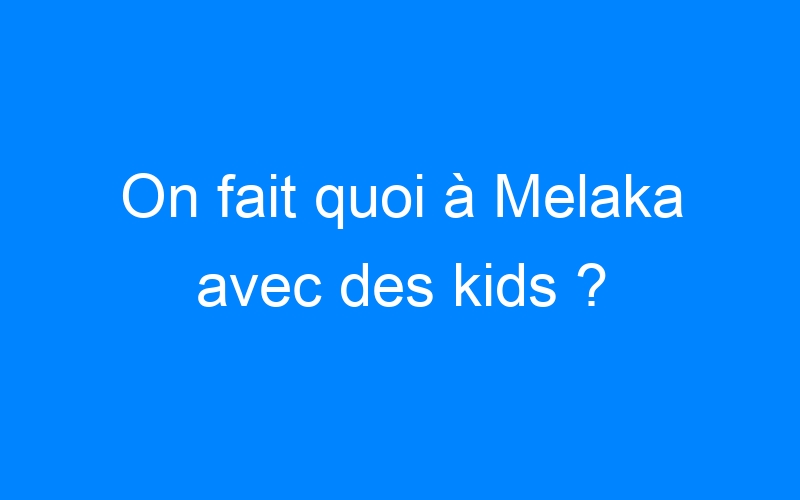 You are currently viewing On fait quoi à Melaka avec des kids ?