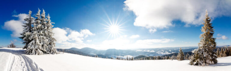 Lire la suite à propos de l’article Vous cherchez le soleil en hiver ? 3 destinations de rêve pour un dépaysement total