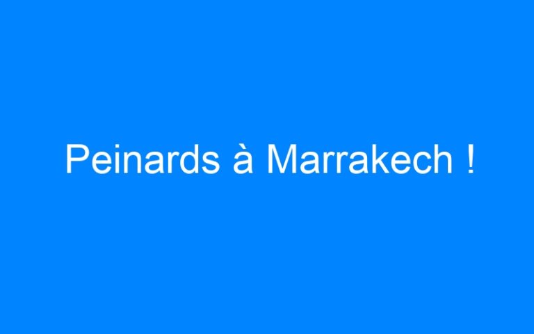 Lire la suite à propos de l’article Peinards à Marrakech !