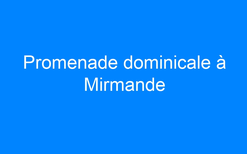 Lire la suite à propos de l’article Promenade dominicale à Mirmande