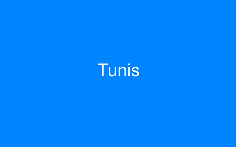 You are currently viewing Tunis