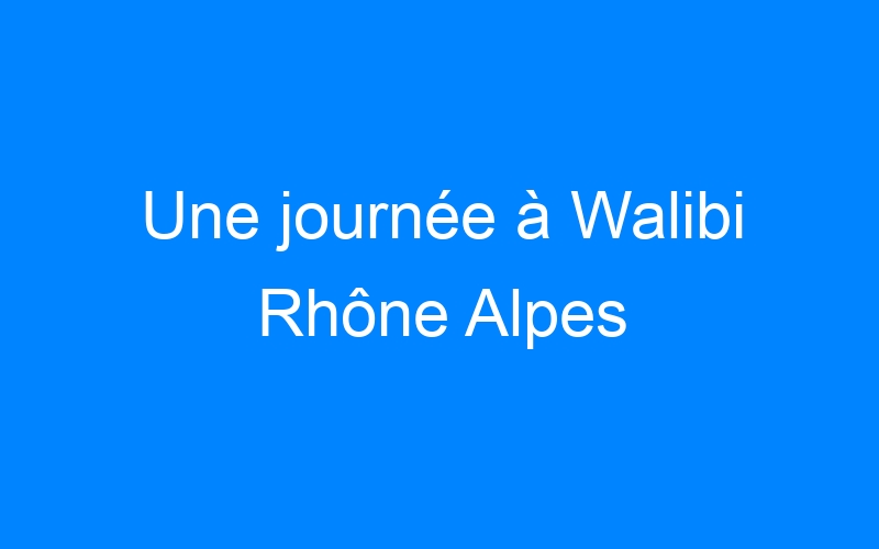 Lire la suite à propos de l’article Une journée à Walibi Rhône Alpes