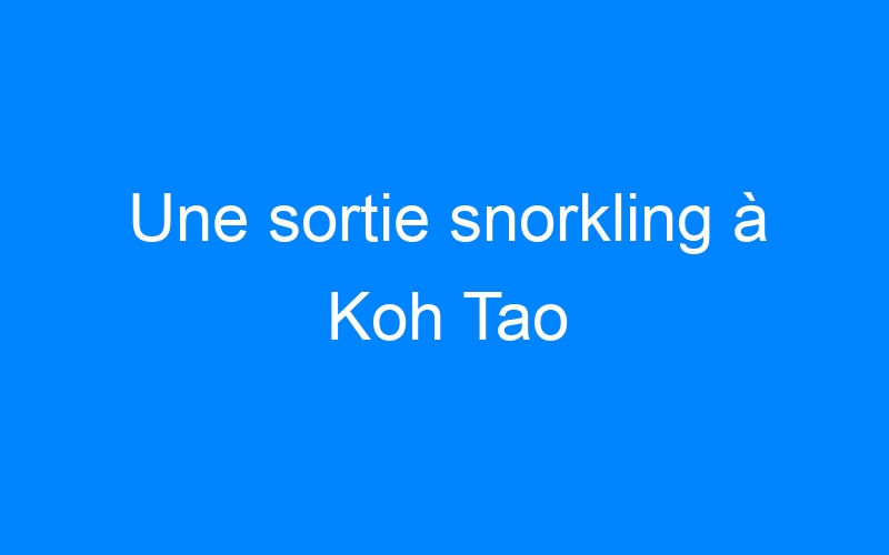 Lire la suite à propos de l’article Une sortie snorkling à Koh Tao