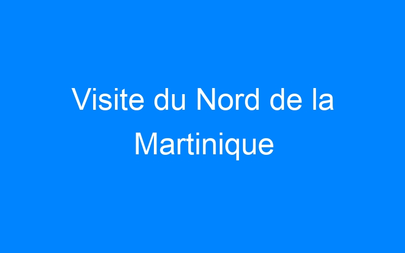 You are currently viewing Visite du Nord de la Martinique